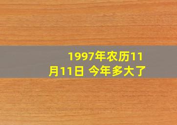 1997年农历11月11日 今年多大了